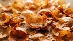 Cibulové šupky namiesto výrobkov z obchodu: ako ich využiť v záhrade