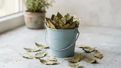 Stačí pár lístkov tohto korenia – a vzduch vo vašej domácnosti bude pôsobiť sviežejšie a čistejšie